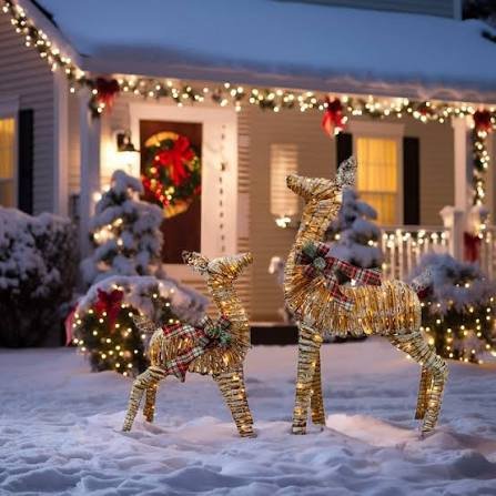 2.5 ft LED Donkey product image