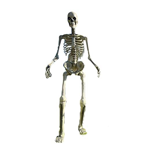 12 ft Giant-Sized Skeleton with LifeEyes™ LCD Technology