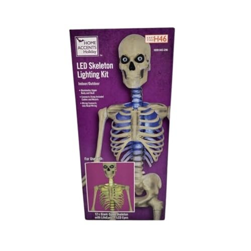 Giant-Sized Skelly – 12-Foot Skeleton Decoration | Home Accents Holiday
