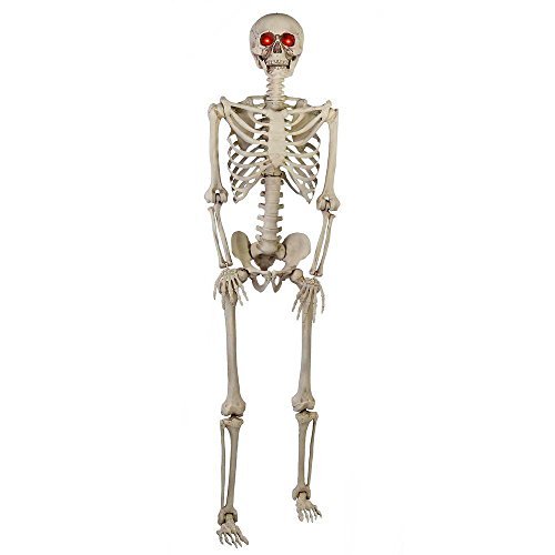 Home Accents Holiday 5 ft. Animated LED Hearse