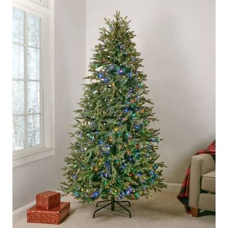 Jackson Noble Fir LED Pre-Lit Christmas Tree