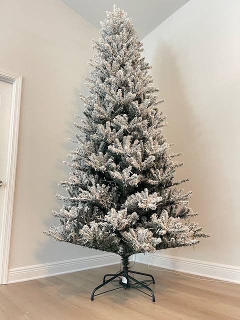 Starry Light Flocked Noble Fir